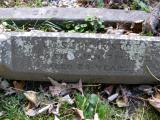image of grave number 53884